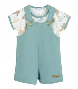 Conjunto Peto Java