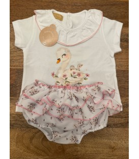 conjunto cisnes y rosas