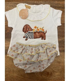 conjunto perro salchicha