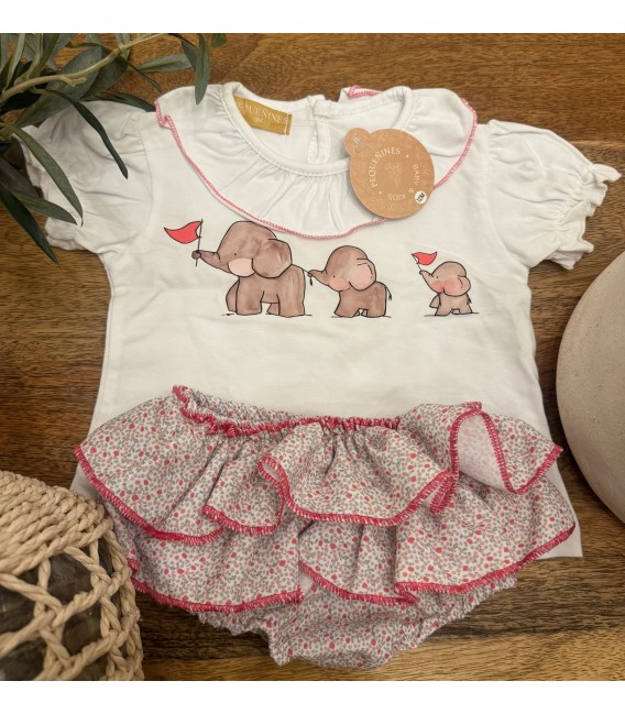 Conjunto elefante