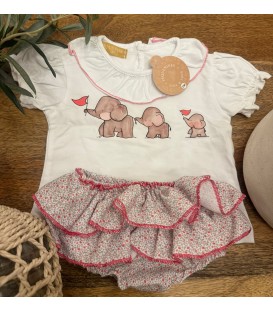 Conjunto elefante