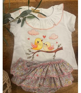Conjunto pajaritos