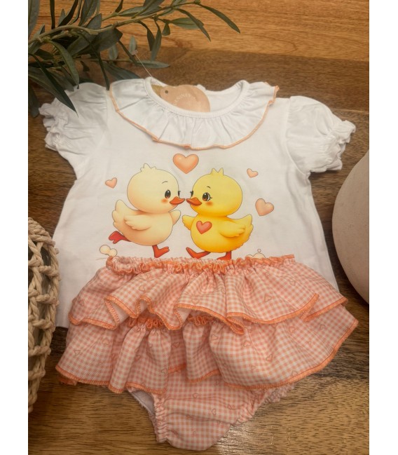 Conjunto pollito
