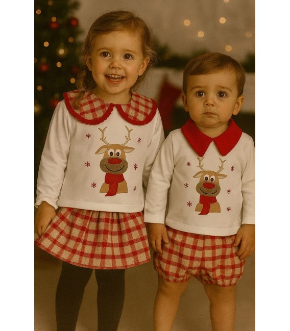 conjunto cuadro reno navidad