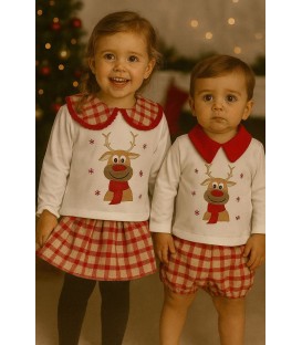 conjunto cuadro reno navidad