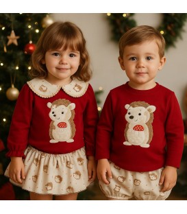 conjunto navidad erizo