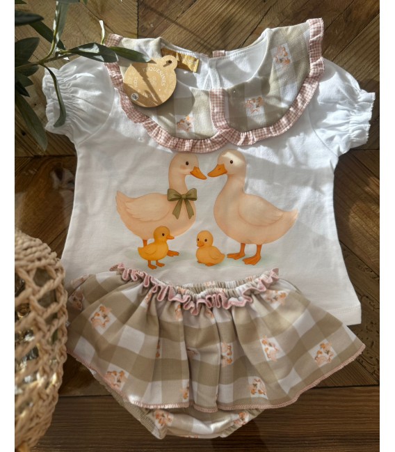 conjunto patos y patitos