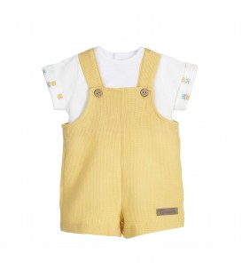 Familia Gaya Conjunto Peto