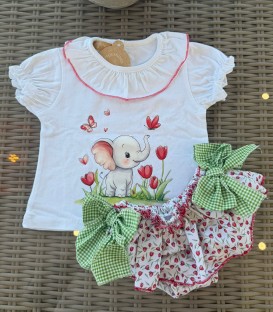 conjunto Dumbo