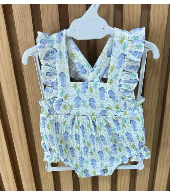 Ranita Caballo de mar