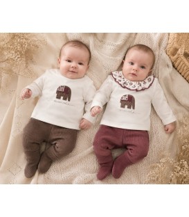 Conjunto Polaina Meira